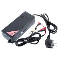 Avacom WILSTAR 12V/10A für AGM/GEL Bleiakkus (40 - 130Ah) - Ladegerät
