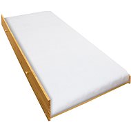 IDEA nábytek Výsuvná postel TORINO 90x200 - Postel