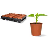 Igotrend Planter 6 cm, 20 pcs - Seedling Tray