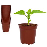 Igotrend Planter, brown 7,2 × 6,8 cm, 20 pcs - Seedling Tray