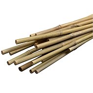 Igotrend Plant pole BAMBUS 210 cm, set of 3 - Plant Support