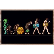 IMPAR Placemats Bitcoin evolution - Placemat