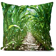 Impar pillow Corn field - Pillow