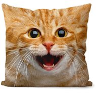 Impar Číča ginger - Pillow