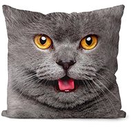 Impar Číča grey - Pillow