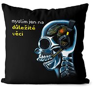 Impar Důležité věci, gamer - Pillow