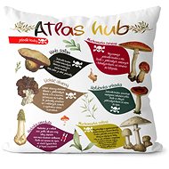 Impar Atlas hub - Pillow