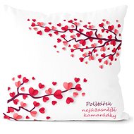 Impar Nejúžasnější kamarádky - Pillow