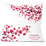 Impar Nejúžasnější tchýně - Pillow