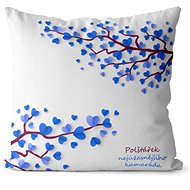 Impar Nejúžasnějšího kamaráda - Pillow
