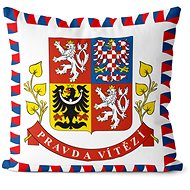 Impar pillow Truth wins - Pillow