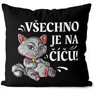 Impar pillow Everything is on the pussy - Pillow