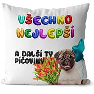 Impar Pillow Happy Birthday - p*ssy - Pillow