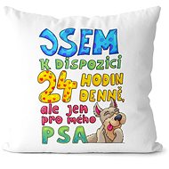 Impar pillow 24 hours for dog - Pillow