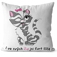 Impar pillow You are a kitty age 24 - Pillow