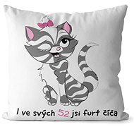 Impar pillow You are a kitty age 52 - Pillow