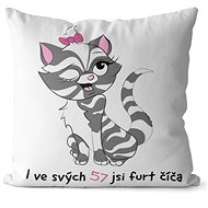 Impar pillow You are a kitty age 57 - Pillow