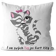 Impar pillow You are a kitty age 58 - Pillow