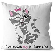 Impar pillow You are a kitty age 66 - Pillow