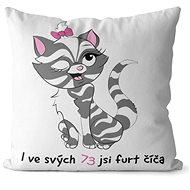 Impar pillow You are a kitty age 73 - Pillow