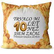 Impar pillow It took me 10 years - Pillow