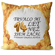Impar pillow It took me 14 years - Pillow