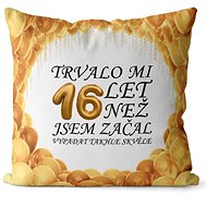 Impar pillow It took me 16 years - Pillow