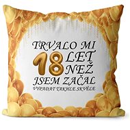 Impar pillow It took me 18 years - Pillow