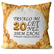 Impar pillow It took me 20 years - Pillow