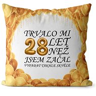 Impar pillow It took me 28 years - Pillow