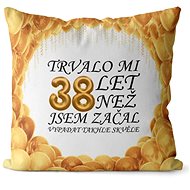 Impar pillow It took me 38 years - Pillow