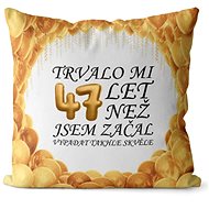 Impar pillow It took me 47 years - Pillow