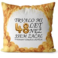 Impar pillow It took me 48 years - Pillow