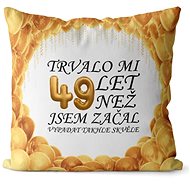 Impar pillow It took me 49 years - Pillow