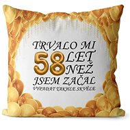 Impar pillow It took me 58 years - Pillow
