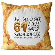 Impar pillow It took me 61 years - Pillow