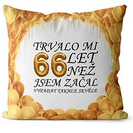Impar pillow It took me 66 years - Pillow