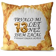 Impar pillow It took me 73 years - Pillow