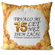 Impar pillow It took me 75 years - Pillow