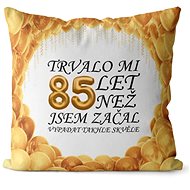 Impar pillow It took me 85 years - Pillow