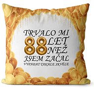 Impar pillow It took me 88 years - Pillow