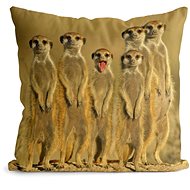 Impar pillow Surikaty - Pillow