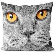 Impar Pillow Cat's eye view - Pillow