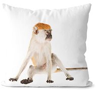 Impar pillow Monkey - Pillow
