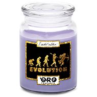 IMPAR Candle with lavender scent - Evolution - love 500 g - Candle