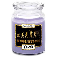 IMPAR Candle with lavender scent - Evolution - teachers 500 g - Candle