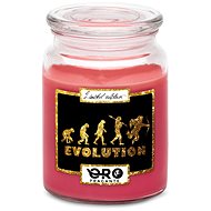 IMPAR Chocolate scented cherry candle - Evolution - love 500 g - Candle