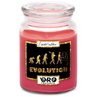 IMPAR Chocolate scented cherry candle - Evolution - teachers 500 g - Candle