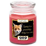 IMPAR Chocolate scented cherry candle - Fox - hunter 500 g - Candle