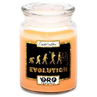 IMPAR Tropical fruit scented candle - Evolution - teachers 500 g - Candle